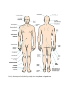 An Introductory Guide to Anatomy & Physiology