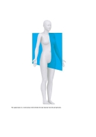 An Introductory Guide to Anatomy & Physiology
