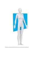 An Introductory Guide to Anatomy & Physiology