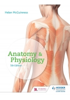 Anatomy & Physiology