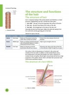 Anatomy & Physiology