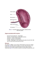 Ross & Wilson Anatomy and Physiology in Health and Illness