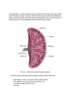 Ross & Wilson Anatomy and Physiology in Health and Illness