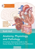 Anatomy, Physiology, and Pathology