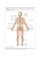 Anatomy, Physiology, and Pathology