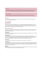 Anatomy, Physiology, and Pathology
