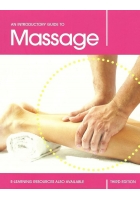 An Introductory Guide to Massage