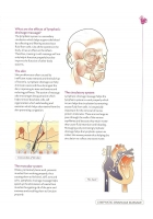 An Introductory Guide to Massage