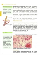 Professional Beauty Therapy Level 3