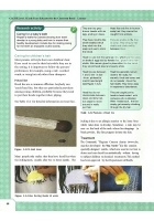 CACHE Level 3 Early Years Educator