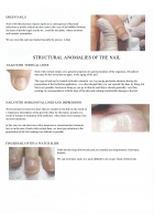Nail Technician Training: All Techniques, Nail Tech Practice, Methods & Theory