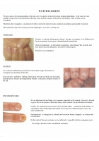 Nail Technician Training: All Techniques, Nail Tech Practice, Methods & Theory