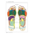 The Complete Guide to Reflexology (3rd Edition) by Ruth Hull