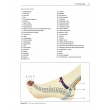 The Complete Guide to Reflexology (3rd Edition) by Ruth Hull