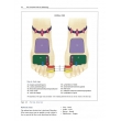 The Complete Guide to Reflexology (3rd Edition) by Ruth Hull