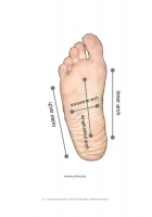 The Complete Guide to Thai Foot Massage by Elefteria Mantzorou