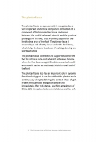 The Complete Guide to Thai Foot Massage by Elefteria Mantzorou