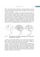 The Early Years Foundation Stage: Theory and Practice