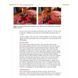 Early Childhood Education