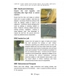 Survey Your Home for Structural Building Defects