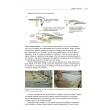 Understanding Housing Defects