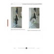 Groundworkers' Training Guide: Service Pipe & Meter Housing Installation