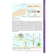 Landlords and Electrical Inspectors: PRS Safety and Compliance Guide