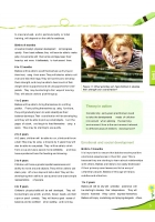 Children’s Learning and Development Early Years Educator