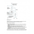The Handbook for Nursing Associates and Assistant Practitioners
